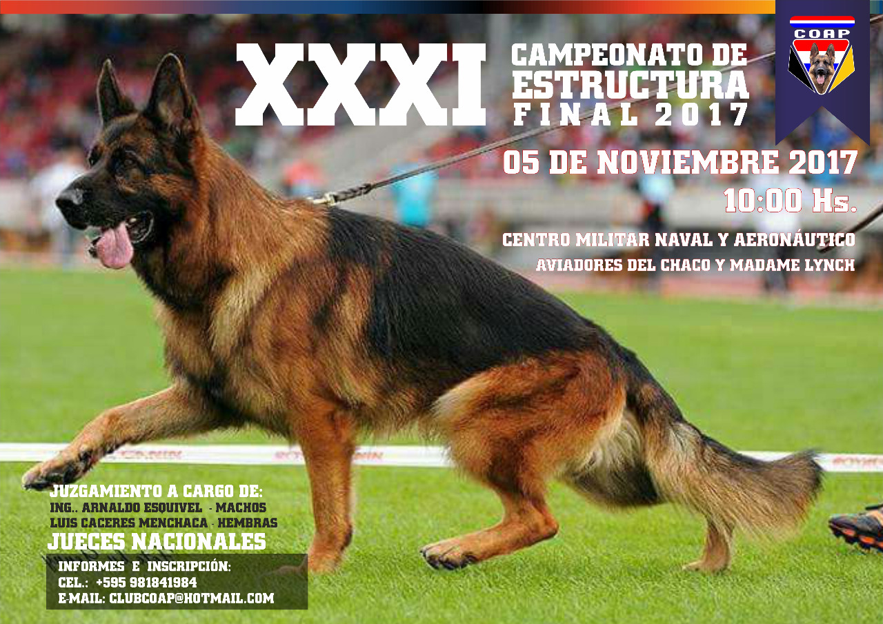 Campeonato Final 2017