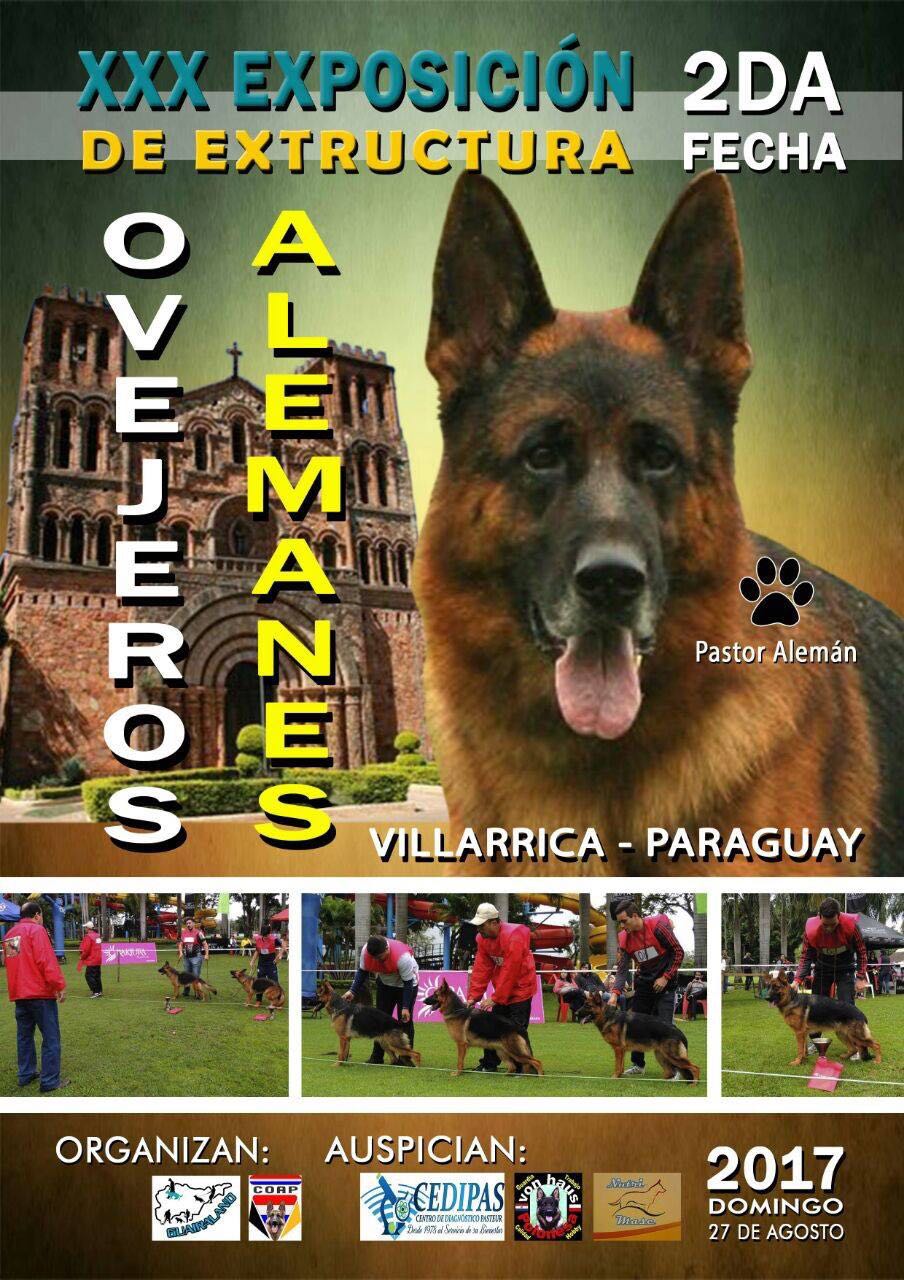 Exposición Villarrica