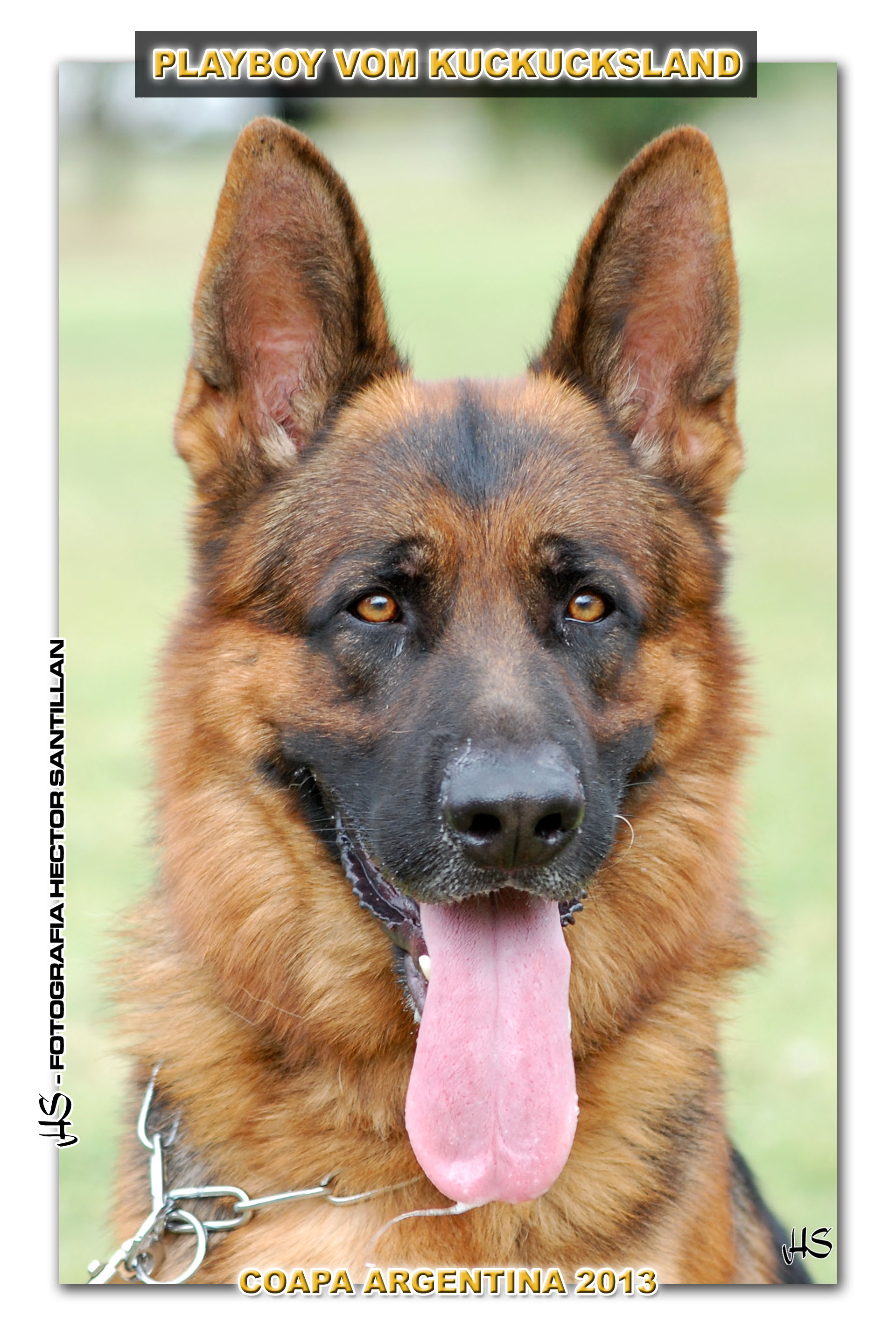 Playboy Kuckucksland - COAP Argentina 2013