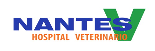 Hospital Veterinario Nantes